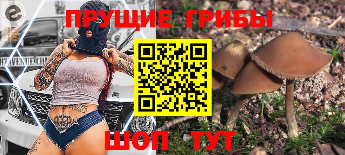 Галлюциногенные грибы мицелий Новочебоксарск