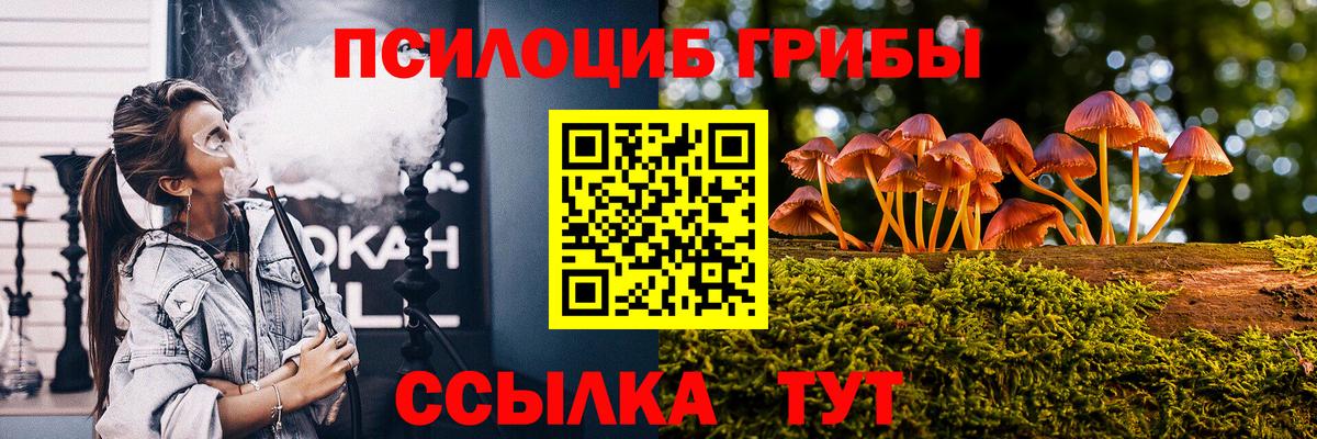 Псилоцибиновые грибы прущие грибы  Вход с VPN  Новочебоксарск  Псилоцибиновые грибы MAGIC MUSHROOMS 